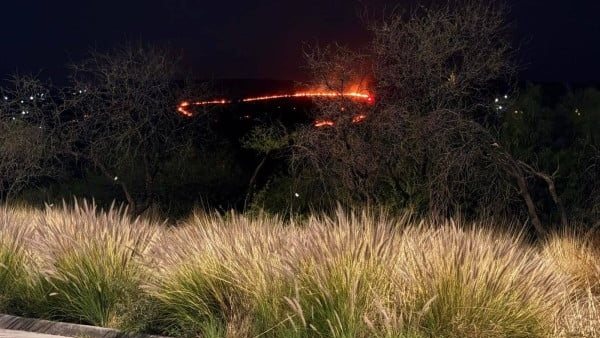 Incendio consume 25 hectáreas en Cañada de Bustos, Guanajuato